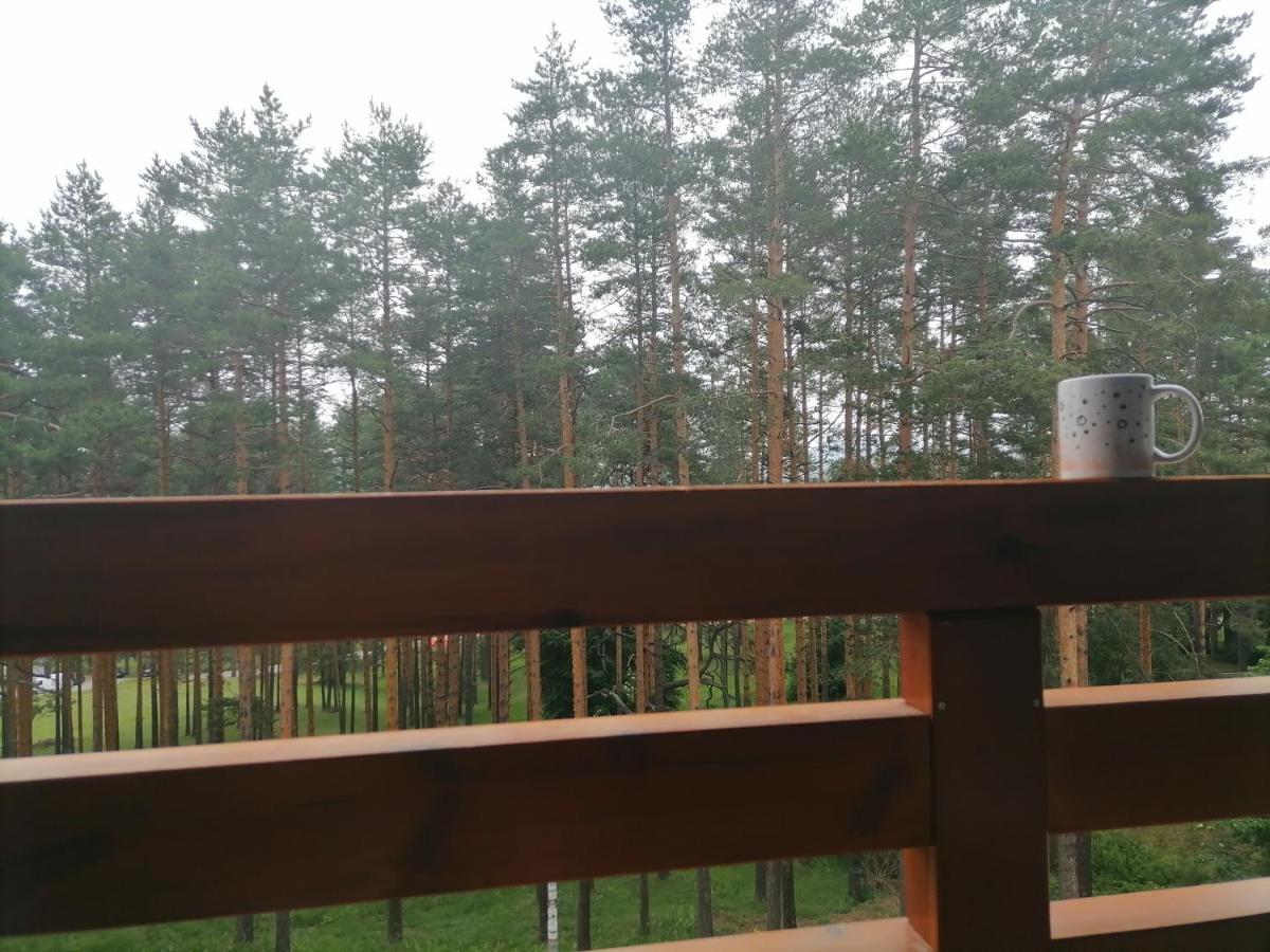 Apartman Nele Zlatibor Exteriör bild