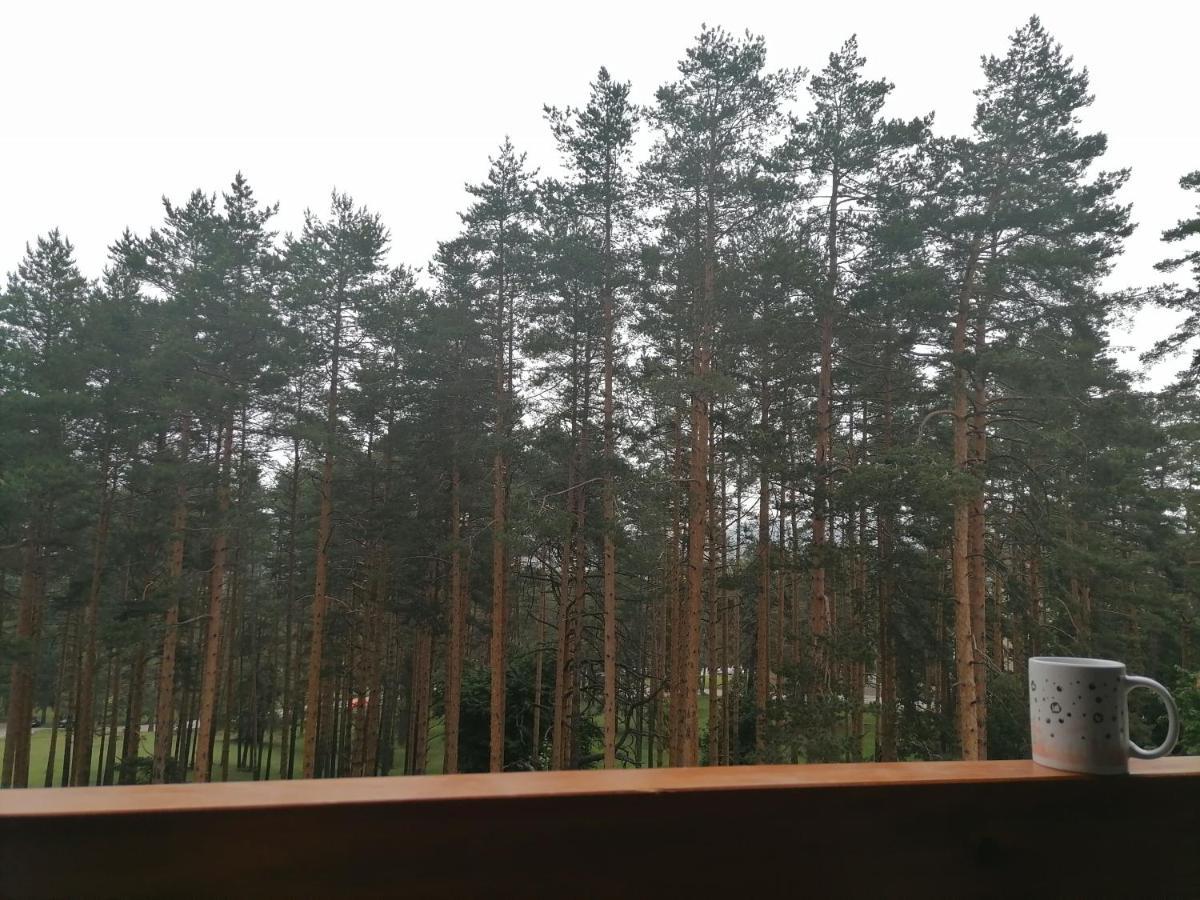 Apartman Nele Zlatibor Exteriör bild